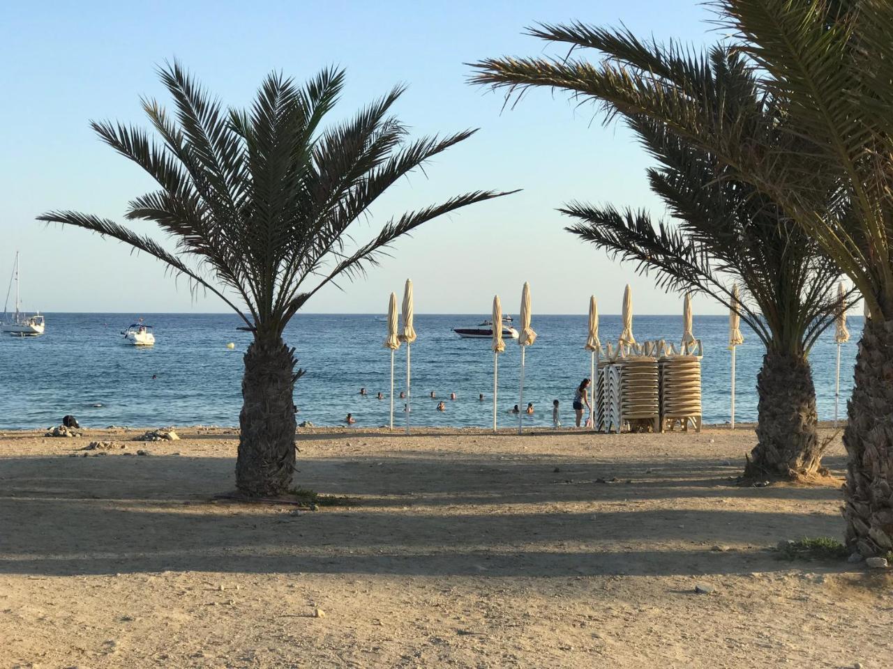 Homely Apartments Playa De Los Locos Torrevieja Bagian luar foto